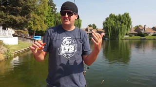 How to catch panfish fast with a float/bobber!