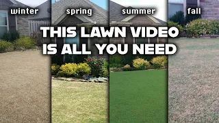 A Beginner's Yearly Lawn Care Guide to Improving or Maintaining a Beautiful, Green Bermudagrass Lawn