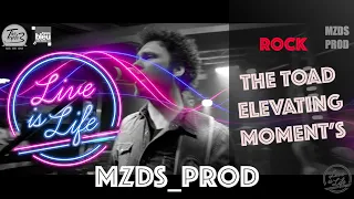 LIVE IS LIFE PART 02| The Toad Elevating Moment's |@mzds_prod