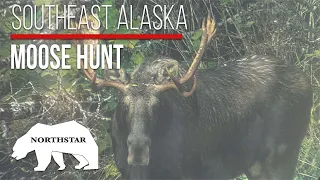 Moose Meadows | Southeast Alaska Moose Hunt