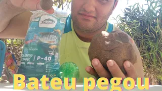 Massa para pesca P40/pega tudo, Tilapia Tambaqui Pacu Tambacu Piauçu Piava e Curimbas