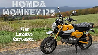 Honda Monkey 125 Review and Ride |  The Good, The Bad, and Everything in Between