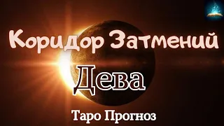 Дева. Коридор Затмений с 25 Марта по 8 Апреля 2024 Таро Прогноз