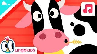 OLD MACDONALD HAD A FARM 🚜🐮 Nursery Rhymes & Kids Songs | Lingokids