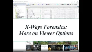 X-Ways Forensics Configuration 02: More on Viewer Options