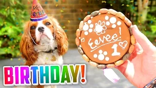 🐶 EEVEE'S 1st BIRTHDAY! (🎁 Presents, 🎂 Cake + 🎉 MORE!)