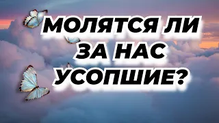 Молятся ли за нас усопшие?