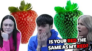 BRITISH FAMILY REACTS! Is Your Red The Same As My Red?