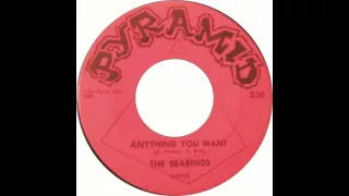 The Bearings - Anything You Want