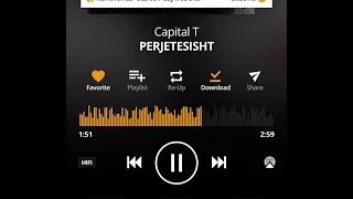 Capital T - Perjetesisht (unreleased)