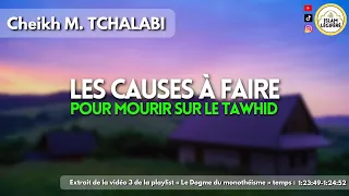 Les causes a faire pour mourir sur le Tawhid - Cheikh M.Tchalabi