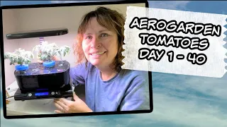 Aerogarden Tomatoes -  First 40 Days - Planting, Pruning & Fertilizing