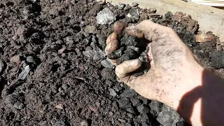 Biochar Activation for soil DIY