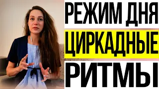 Циркадные ритмы. Как наладить?