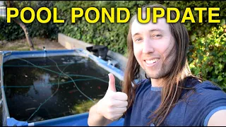 Pool Pond Update! April 2021