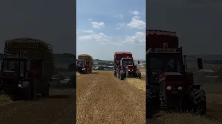 Žně, Žatva, Żniwa, Harvest 2023 Zetor Crystal 12045,16145 Sběr slámy