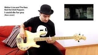 Red Hot Chili Peppers - I could die for you [Bass cover]