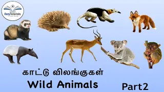 Wild animals in tamil and English Part 2