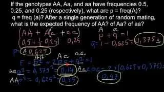 How to find expected genotype frequency (Hardy-weinberg formula explained)