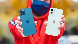 iPhone 11 Pro vs iPhone 12 vs iPhone 12 Pro !