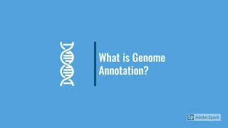 Genome Annotation Video