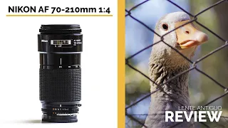 Nikon AF Nikkor 70-210mm f/4 - Vintage lens review