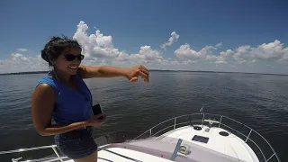 TRAWLER LIFE - Herrington Harbor - North - Chesapeake Bay