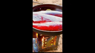 Trout & Potatoes Firebox Dinner Family Camping & Fishing.                                    #shorts