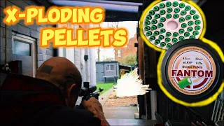 Exploding Airgun Pellets, Do they work??