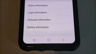 How To Enable Developer Options Galaxy S10 (Under 60 Seconds)