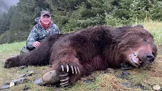 Alaska Spring Brown Bear Hunt with Southeast Alaska Guiding