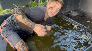 SAVING BABY TURTLES FOUND TRAPPED IN BLACK TAR WATER ! I CANT BELIEVE THIS…