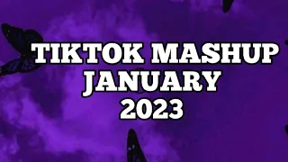 Tiktok Mashup  2023💫(kinda clean)💫