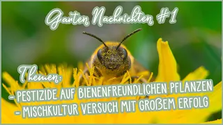 ✋😡🐝 Pestizide auf bienenfreundlichen Pflanzen 🌼 Neue Studie zur Mischkultur | Garten Nachrichten 1