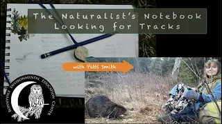 Naturalist's Notebook: 3 Tracks