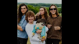 Glitter Greta Van Fleet Through The Years