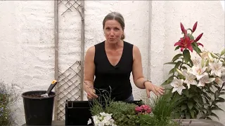 How to assemble your PlantBlox vertical garden