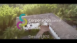 Institucional CDC