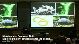 Anne Biklé -- Microbiomes, Roots, and Guts