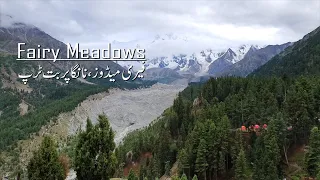 #FairyMeadows Trekking | #nanga_parbat | #FairyMeadowsPakistan