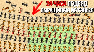 24 ЧАСА ПОДРЯД ВЫРАЩИВАЮ МУРАВЬЕВ ( Pocket Ants )