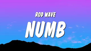 Rod Wave - Numb (Lyrics)