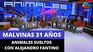 Malvinas 31 Años - Animales Sueltos