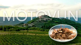 Discover Motovun, Croatia