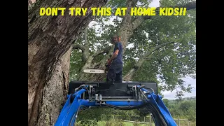 Cutting BIG Branches Off A HUGE Tree!!