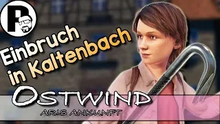 Die falschen Medikamente |#14| Ostwind 2 Aris Ankunft | Let's Play | #Ostwind