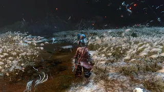 [Sekiro] - Иной Иссин (No Damage)