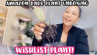 Amazon Rare Plant Unboxing || WISHLIST PLANT!!!