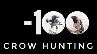 Crow Hunting Кроухантинг минус 100