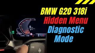 BMW G20 Diagnostic Mode | Hidden Menu | Dyno Mode Activate [3 Series 2020 318i] DIY